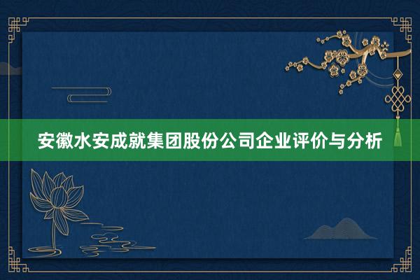 安徽水安成就集团股份公司企业评价与分析