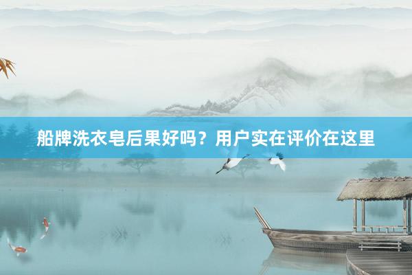 船牌洗衣皂后果好吗？用户实在评价在这里