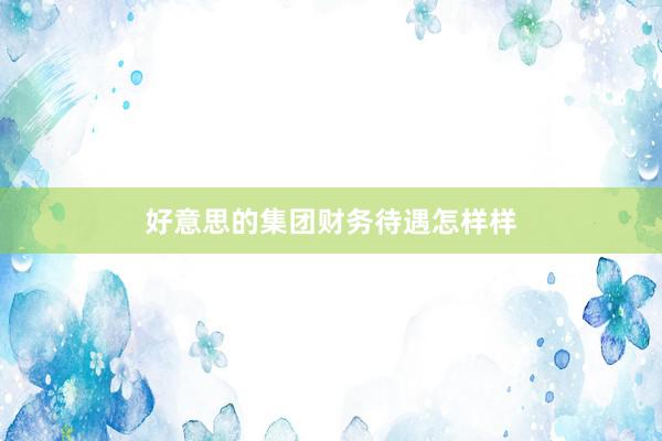 好意思的集团财务待遇怎样样