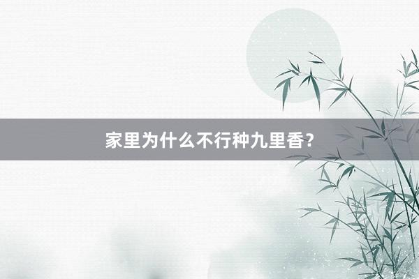 家里为什么不行种九里香？